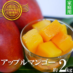 yӂ邳Ɣ[Łzy2026Nz}S[̋_YnuXv̉ƒpAbv}S[i2kgj A[EB ʕ Â  Z  Mango LO n Cɓ  l