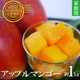 【ふるさと納税】【2026年発送】マンゴーの拠点産地「宜野座村」の家庭用アップルマンゴー（約1kg） アーウィン 果物 甘い 夏 濃厚 お取り寄せ Mango ランキング 完熟 お気に入り 美味しい 人気 おすすめ 地元 沖縄県 先行予約 南国フルーツ デザート 産地直送 送料無料