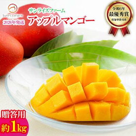 【ふるさと納税】【2026年発送】令和6年最優秀賞サンライズファームのマンゴー贈答用　約1kg アーウィン 果物 甘い 夏 濃厚 ギフト Mango ランキング 完熟 お気に入り 収穫 人気 甘味 フルーツ 沖縄県 国産 食品 デザート 産地直送 宜野座村