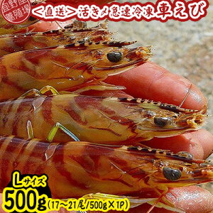 yӂ邳Ɣ[Łzy{Bꂩ璼zY}ⓀԂс@LTCY@500gi17`21/500g×1Pj ԊCV CN  CY V[t[h    N}Gr ܂ Ă 