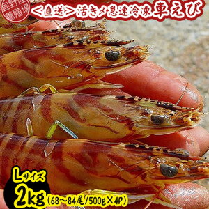 yӂ邳Ɣ[Łzy{Bꂩ璼zY}ⓀԂс@LTCY@2kgi68`84/500g×4Pj ԊCV CN  CY V[t[h    N}Gr ܂ Ă 