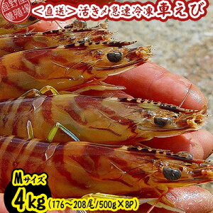 yӂ邳Ɣ[Łzy{Bꂩ璼zY}ⓀԂс@MTCY@4kgi176`208/500g×8Pj ԊCV CN  CY V[t[h    N}Gr ܂ Ă 