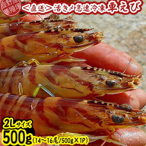 yӂ邳Ɣ[Łzy{Bꂩ璼zY}ⓀԂс@2LTCY@500gi14`16/500g×1Pj ԊCV CN  CY V[t[h    N}Gr ܂ Ă 