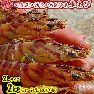 yӂ邳Ɣ[Łzy{Bꂩ璼zY}ⓀԂс@2LTCY@2kgi56`64/500g×4Pj ԊCV CN  CY V[t[h    N}Gr ܂ Ă 