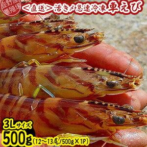 yӂ邳Ɣ[Łzy{Bꂩ璼zY}ⓀԂс@3LTCY@500gi12`13/500g×1Pj ԊCV CN  CY V[t[h    N}Gr ܂ Ă 