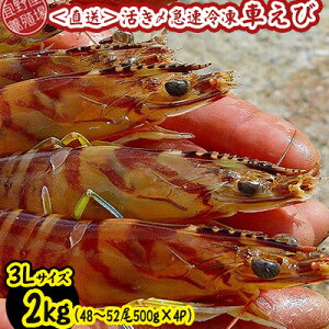 yӂ邳Ɣ[Łzy{Bꂩ璼zY}ⓀԂс@3LTCY@2kgi48`52/500g×4Pj ԊCV CN  CY V[t[h    N}Gr ܂ Ă 