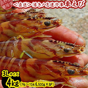 【ふるさと納税】【養殖場から直送】活き〆急速冷凍車えび 3Lサイズ 約4kg(96〜104尾/500g×8P) 車海老 海鮮 魚介類 海産物 シーフード お取り寄せ 美味 料理 クルマエビ くるまえび 塩焼き
