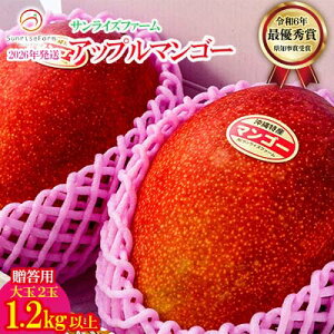 yӂ邳Ɣ[Łzy2026Nzߘa6NŗDG܃TCYt@[̃}S[21.2kgȏ@p A[EB ʕ Â  Z Mtg Mango LO n Cɓ n lC 