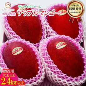 【ふるさと納税】【2026年発送】令和6年最優秀賞サンライズファームのマンゴー大玉4玉2.4kg以上　贈答用 アーウィン 果物 甘い 夏 濃厚 ギフト Mango ランキング 完熟 お気に入り 収穫 人気 甘味 フルーツ 沖縄県 国産 食品 デザート 産地直送 宜野座村