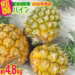 yӂ邳Ɣ[Łzy2026Nz󂠂pC 4`8 4.8kgi{S[pCj pC pCibv ςȂՂ {S[ 󂠂 A s ƒp YpC pCAbv Xib