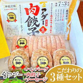 【ふるさと納税】金アグー　こだわりのハンバーグ・肉餃子・ソーセージ3種セット