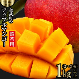 yӂ邳Ɣ[Łzy2026Nz̃Abv}S[p1kgȏi2`3ʁj A[EB ʕ Â  Z Mtg Mango LO n Cɓ n lC Ö t[c 