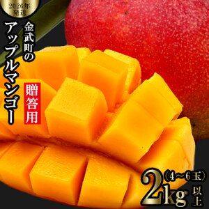 yӂ邳Ɣ[Łzy2026Nz̃Abv}S[p2kgȏi4`6ʁj A[EB ʕ Â  Z Mtg Mango LO n Cɓ n lC Ö t[c 