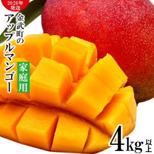 yӂ邳Ɣ[Łzy2026Nz_Ƃ񒼑IAbv}S[4kgȏ@ƒp A[EB ʕ Â  Z Mtg Mango LO n Cɓ n lC Ö t[c ꌧ s