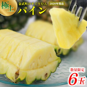 yӂ邳Ɣ[Łz2026NyʌzЂƂڂ ̂ނiɏjpC 6 pCibv ςȂՂ pCAbv ς񂠂Ղ Y Mtg {S[ XibN p