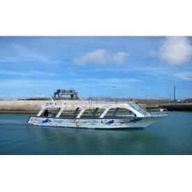 【ふるさと納税】沖縄初！ジンベエザメグラスボート＜4名様＞