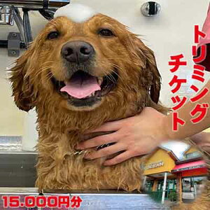 yӂ邳Ɣ[ŁzyPet Club OCEANzg~O`Pbgi15.000~j