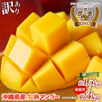 沖縄 果物 訳あり フルーツ くだもの 数量限定 アップルマンゴー アーウ...