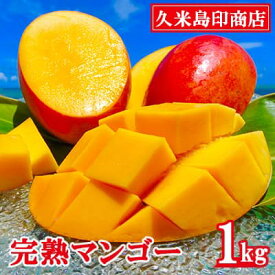 【ふるさと納税】【2024年発送】久米島印商店 完熟マンゴー 1kg