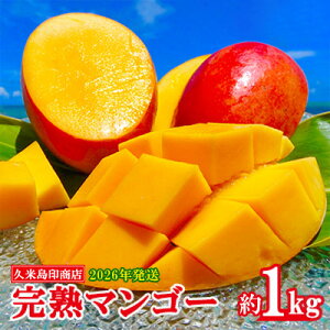 yӂ邳Ɣ[Łzy2026Nzvē󏤓X n}S[ 1kg }S[ t[c ʕ fU[g n Â Z X[W[ ACX v [Og P[L 蕨  Mtg lC 