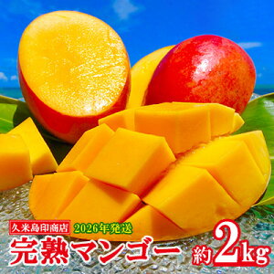 yӂ邳Ɣ[Łzy2026Nzvē󏤓X n}S[ 2kg }S[ t[c ʕ fU[g n Â Z X[W[ ACX v [Og P[L 蕨  Mtg lC 