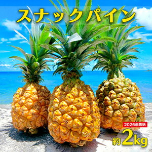 yӂ邳Ɣ[Łzy2026Nzvē󏤓X XibNpC 2kg pCibv pC XibN t[c W[V[ {S[ vē  p ZȊÖ _ ʏ` n ʓ