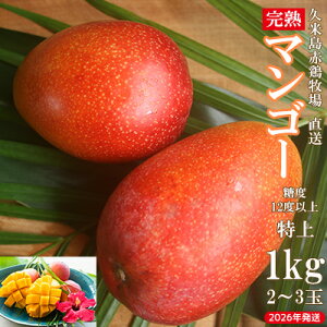 yӂ邳Ɣ[Łzy2026NzvēԌ{q Ix12xȏuvn}S[ 1kgi2`3ʁj }S[ n Abv}S[ A[EB Â Z z^_ _͔| q