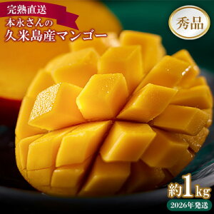 yӂ邳Ɣ[Łzy2026NznI{i̋vē}S[ 1kg Gi }S[ t[c ʕ fU[g n Gi Â W[V[ X[W[ ACX v [Og P[