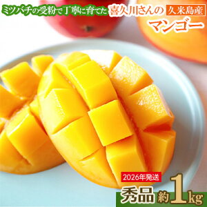 yӂ邳Ɣ[Łzy2026Nz~co`̎󕲂ňĂv삳̊n}S[ 1kg Gi }S[ t[c ʕ XC[c n Z g W[V[ ~co` I Abv}