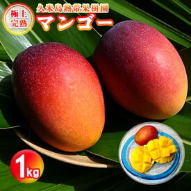 【ふるさと納税】【2024年発送】久米島熱帯果樹園 極上完熟マンゴー1kg（2～3玉）