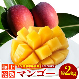 yӂ邳Ɣ[Łzy2026NzvēMщʎ ɏ㊮n}S[ 2kgi3`5ʁj A[EB Abv}S[ }S[ gsJ t[c ʕ 썑  vē ӂ邳Ɣ[ _