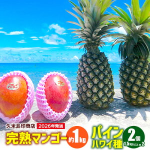 yӂ邳Ɣ[Łzy2026Nzvē󏤓X n}S[1kg&NpC2i1.5kgȏ×2j }S[ pCibv Zbg Â _ oX lC 蕨 Mtg t[c ʕ fU[g X