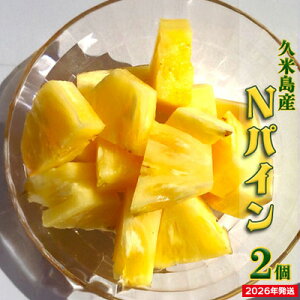 yӂ邳Ɣ[Łzy2026Nzvē󏤓X pCibvinCN67-10j2i1.5kgȏ×2j pCibv pC nC NpC nC X[XJCG _ Â oX lC W