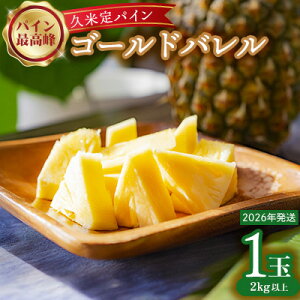 yӂ邳Ɣ[Łzy2026Nz䉮_uvĒpCvS[ho 1ʁi2kgȏ×1ʁj pCibv pC  ō F  x Z Â  M^ t[c ʕ W