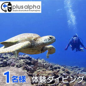【ふるさと納税】ダイビングパラダイス！久米島で体験ダイビング【1名様】