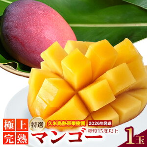 yӂ邳Ɣ[Łzy2026NzvēMщʎuIvɏ㊮n}S[1ʁi450gȏjx15xȏ A[EB Abv}S[ }S[ gsJ t[c ʕ 썑  vē 