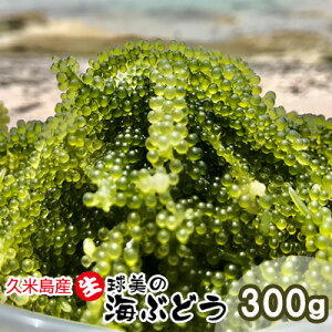 yӂ邳Ɣ[ŁźhhCԂǂi100g×3j