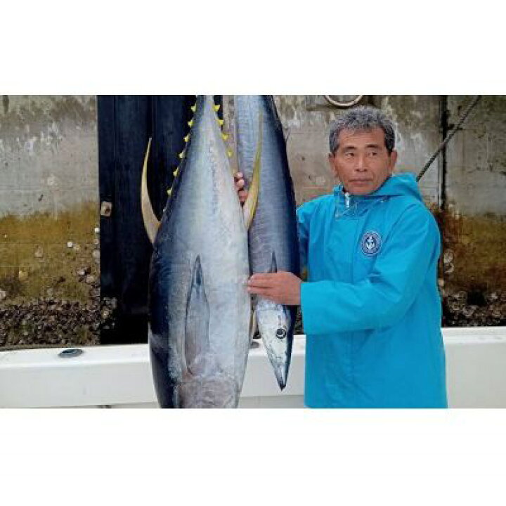 楽天市場】【ふるさと納税】貸切トローリング！「大物釣り体験」1～6名 