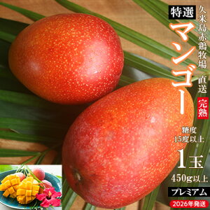 yӂ邳Ɣ[Łzy2026NzvēԌ{q Ix15xȏuv~Avn}S[ 1ʁi450gȏj }S[ n Abv}S[ A[EB x15x Ii v~A 
