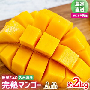 yӂ邳Ɣ[Łzy2026Nz_ƒIc̋vēYn}S[ Ai 2kg }S[ t[c ʕ fU[g n Ai Â W[V[ X[W[ ACX v [Og P[