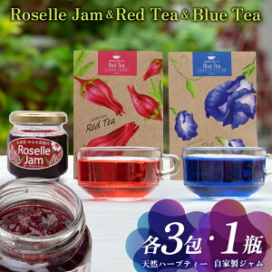 �y�ӂ邳�Ɣ[�Łz�v�ē��Y �V�R�n�[�u�u�o�^�t���C�s�[�����[�[���v�e�B�[�e3����[�[���W�����Z�b�g �W���� �F �ԐF �u���[�e�B�[ ���b�h�e�B�[ ���n�[�u �m���J�t�F�C�� �J�t�F�C��