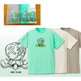 【ふるさと納税】久米島の亀ロゴマークTシャツ：メンズ・XL