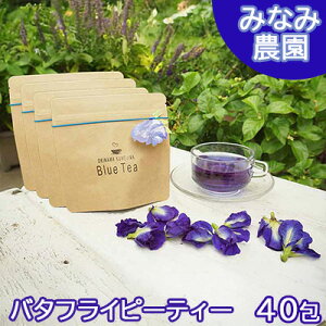 yӂ邳Ɣ[ŁzvēYVRo^tCs[eB[@40