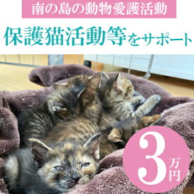【ふるさと納税】【南の島の動物愛護活動】保護猫活動等をサポート（3万円）