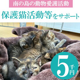 【ふるさと納税】【南の島の動物愛護活動】保護猫活動等をサポート（5千円）