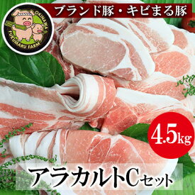 【ふるさと納税】【ブランド豚・キビまる豚】アラカルトセットC（4.5kg）