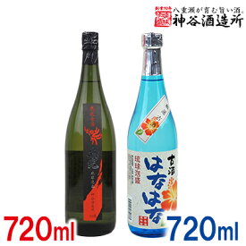 【ふるさと納税】価格改定「神谷酒造所」泡盛古酒セット2本組