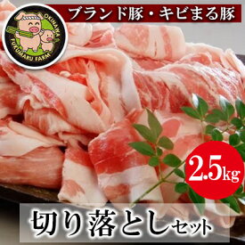 【ふるさと納税】【ブランド豚・キビまる豚】切り落とし　約2.5kg【価格改定】