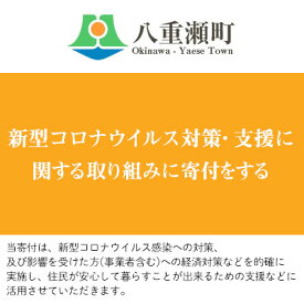 【ふるさと納税】新型コロナウイルス対策・支援に関する取り組みに寄付をする（1万円） - 返礼品なし 寄附のみ 寄付のみ 応援 支援 沖縄県 八重瀬町