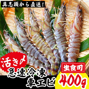 yӂ邳Ɣ[ŁzyAzY}ⓀԃGriHE400gjystz- 2025N8菇 CV Ԃ ԊCV Ⓚ Gr Y {B ѓV GrtC Ă lC ꌧ 